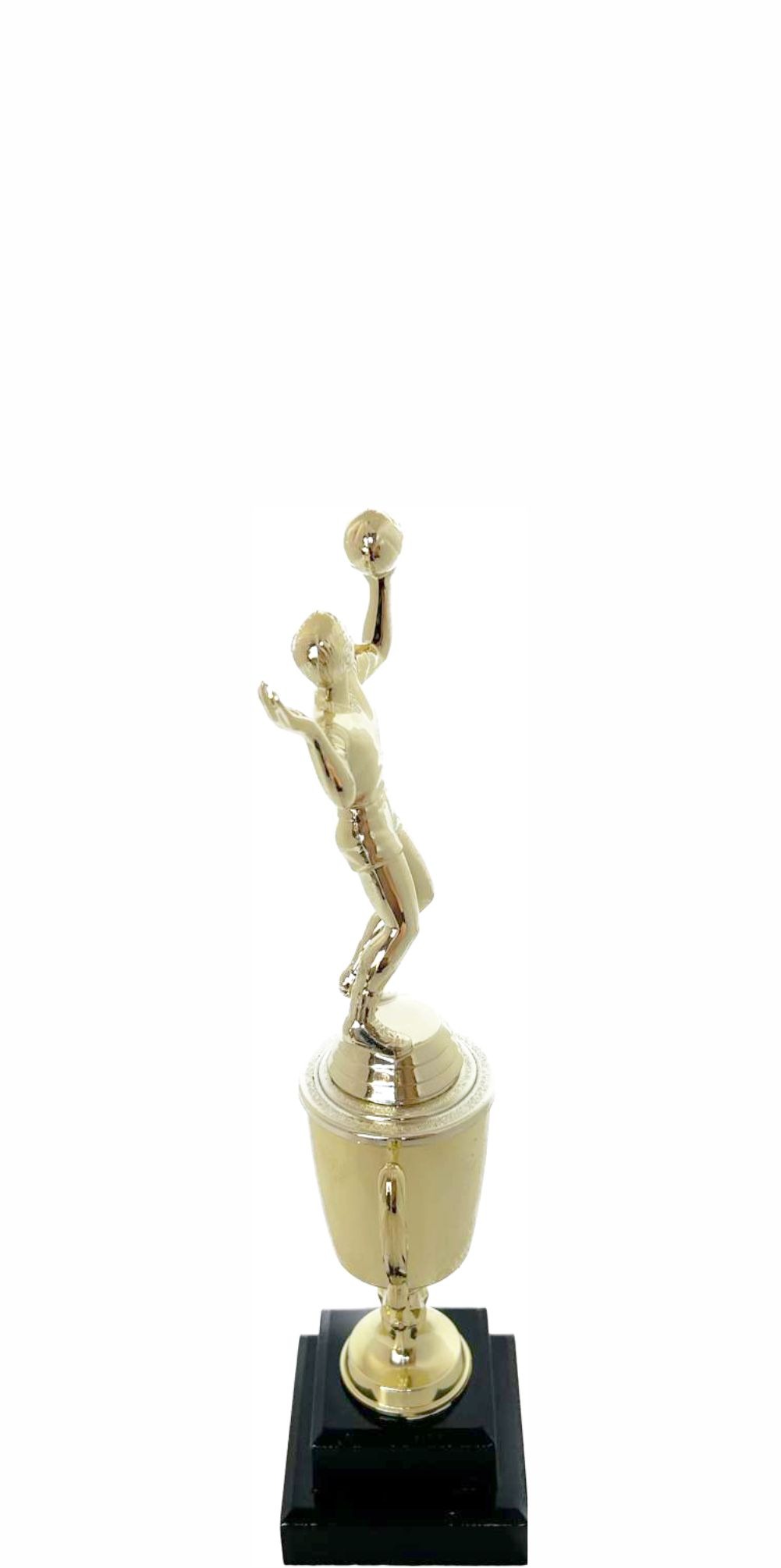 Volleyball Male Trophy 240mm