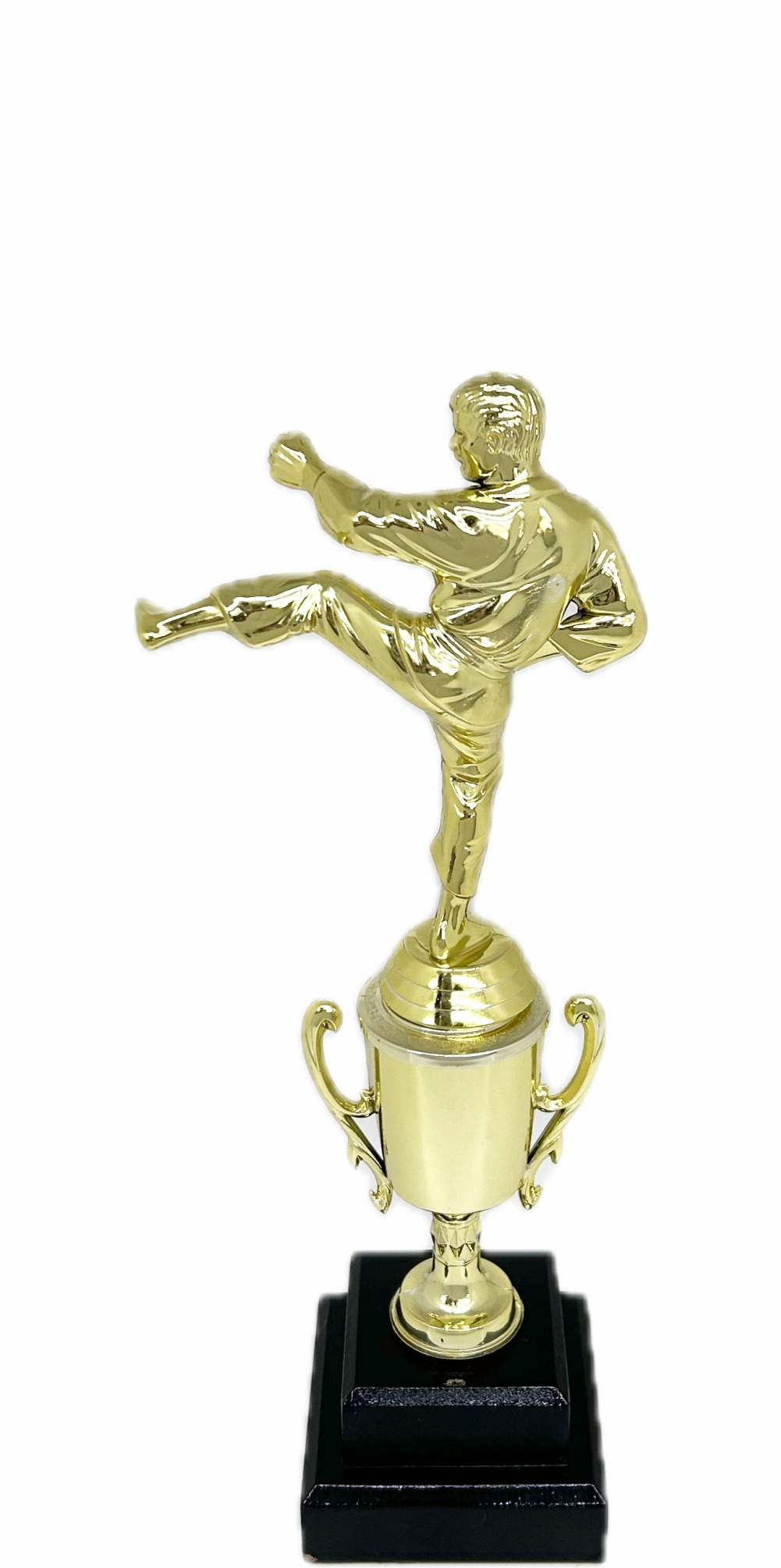 Karate Male Trophy 310mm