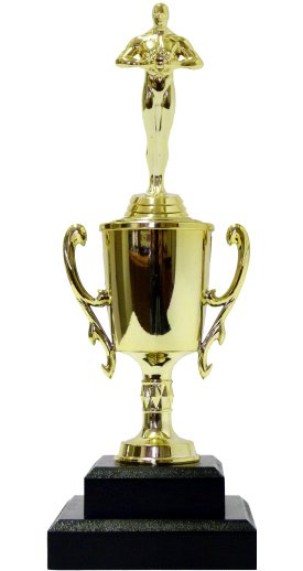 Victory Trophies | Trophy Shop Online