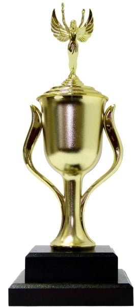 Victory Trophies | Trophy Shop Online