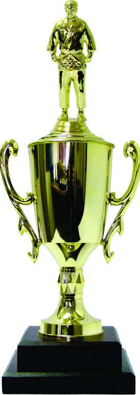 Judo Trophies – Trophy Shop Online