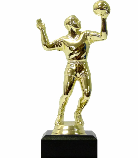 Volleyball Male Trophy 155mm - Trophy Shop Online