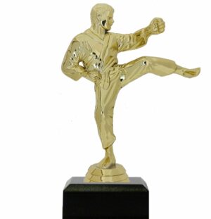 karate Trophies Archives - Trophy Shop Online