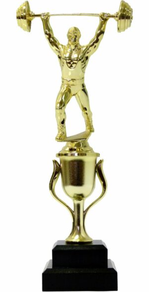 Weight Lifting Trophies Archives - Trophy Shop Online