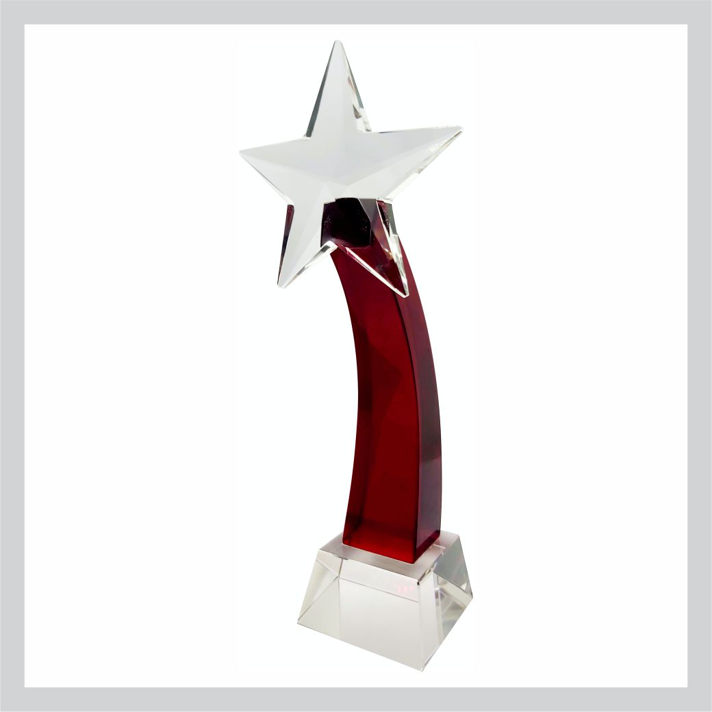 glass-trophy-260mm-trophy-shop-online