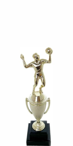 Volleyball Male Trophy 270mm