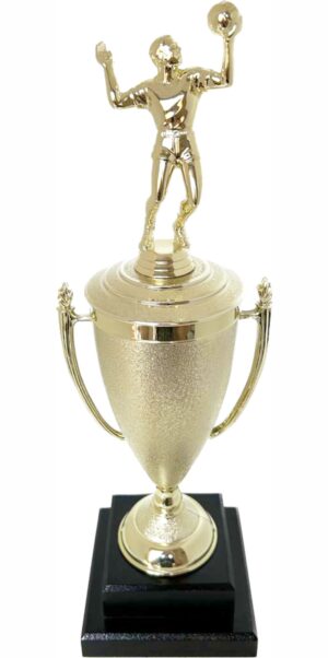 Volleyball Male Trophy 410mm