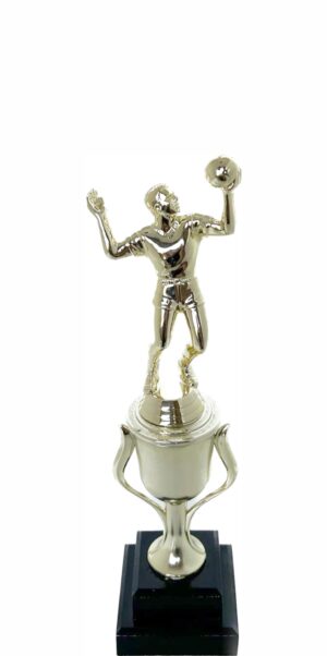 Volleyball Male Trophy 290mm