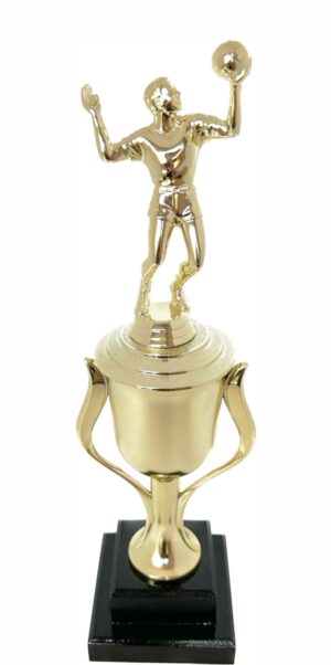 Volleyball Male Trophy 370mm