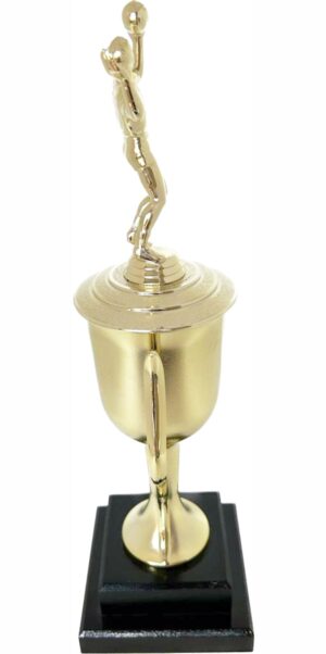 Volleyball Male Trophy 410mm