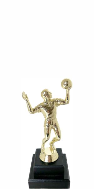Volleyball Male Trophy 180mm