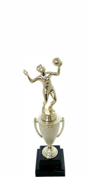 Volleyball Female Trophy 270mm