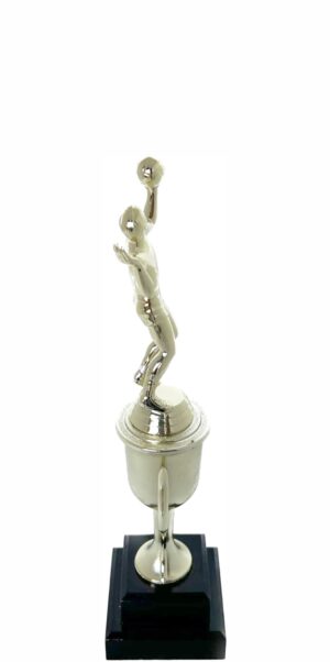 Volleyball Female Trophy 290mm
