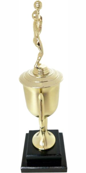 Volleyball Female Trophy 410mm
