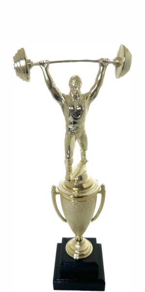 Weight Lifter Male Trophy 310mm