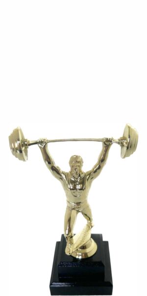 Weight Lifter Male Trophy 200mm