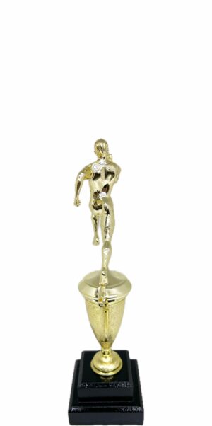 Athletics Trophy Male 270mm