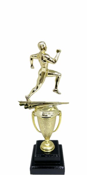 Athletics Trophy Male 290mm