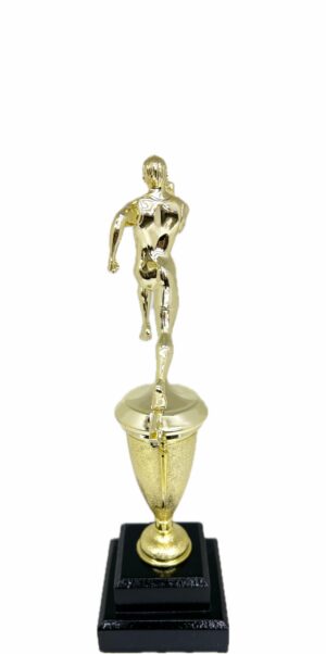 Athletics Trophy Male 290mm