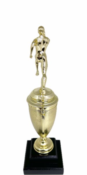 Athletics Trophy Male 330mm