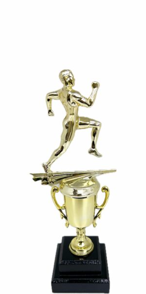 Athletics Trophy Male 290mm