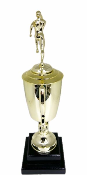 Athletics Trophy Male 360mm