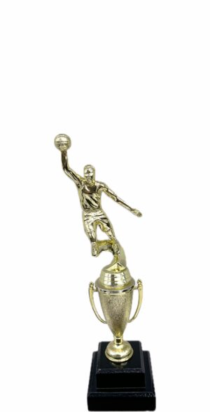 Basketball S/D Female Trophy 290mm