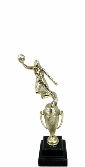 Basketball S/D Male Trophy 290mm