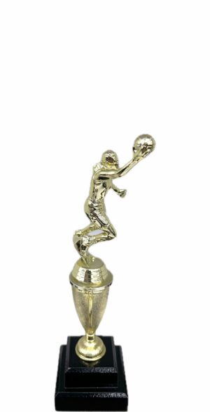 Basketball S/D Male Trophy 290mm