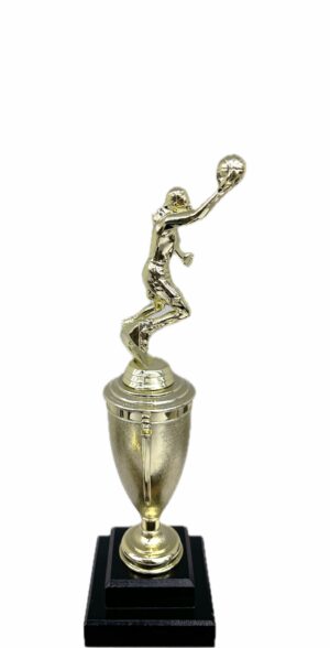 Basketball S/D Male Trophy 310mm