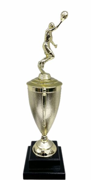 Basketball S/D Male Trophy 390mm