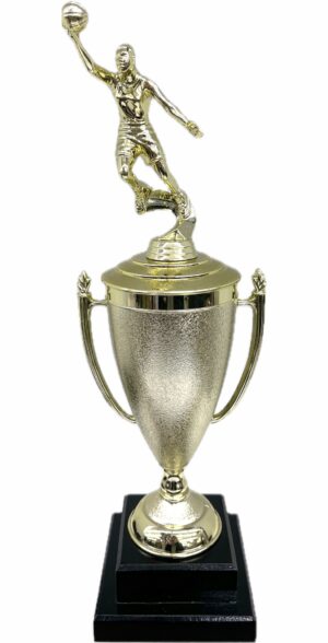 Basketball S/D Male Trophy 430mm