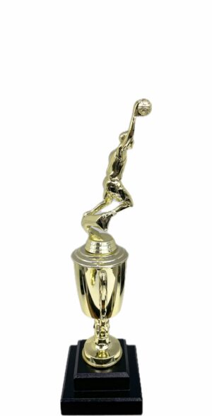 Basketball S/D Male Trophy 310mm