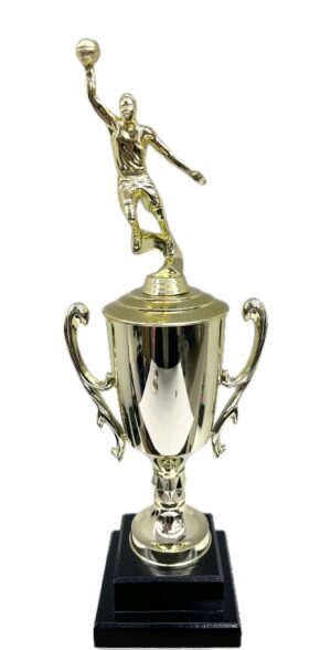 Basketball S/D Male Trophy 390mm