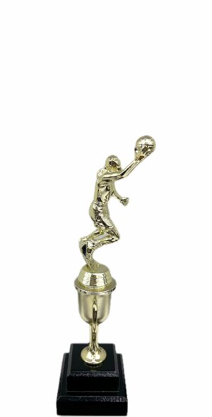 Basketball S/D Male Trophy 290mm