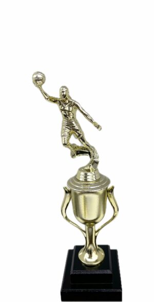 Basketball S/D Male Trophy 310mm