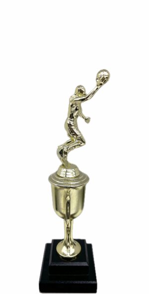 Basketball S/D Male Trophy 310mm