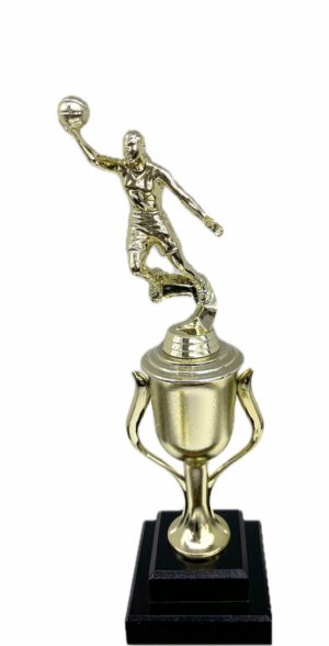 Basketball S/D Male Trophy 350mm