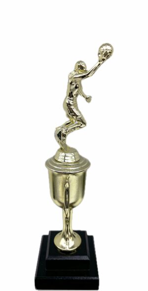 Basketball S/D Male Trophy 350mm