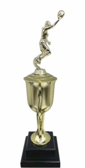 Basketball S/D Male Trophy 390mm