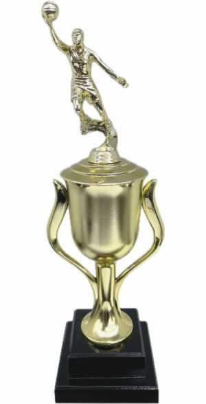 Basketball S/D Male Trophy 430mm