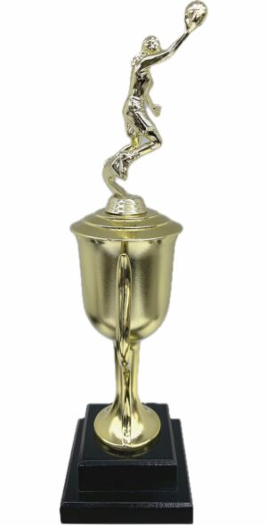 Basketball S/D Male Trophy 430mm