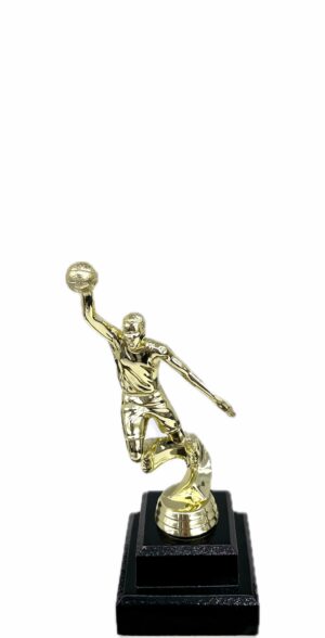 Basketball S/D Male Trophy 200mm