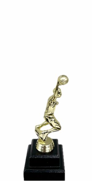 Basketball S/D Male Trophy 200mm