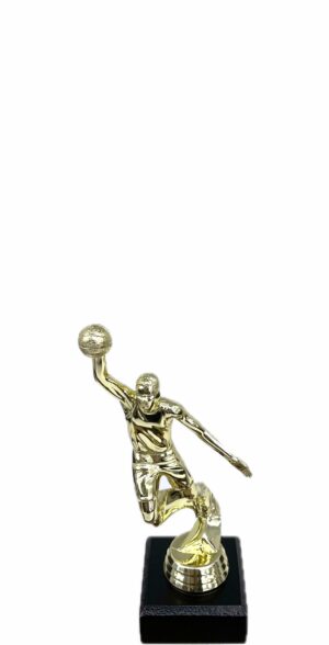 Basketball S/D Male Trophy 175mm