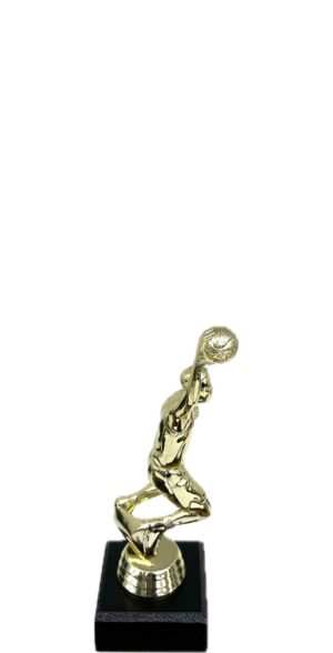Basketball S/D Male Trophy 175mm
