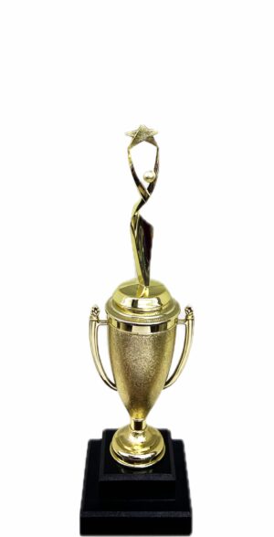 Rearch For The Stars Trophy 315mm
