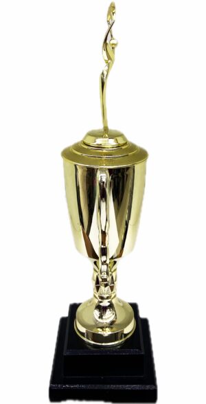 Rearch For The Stars Trophy 430mm