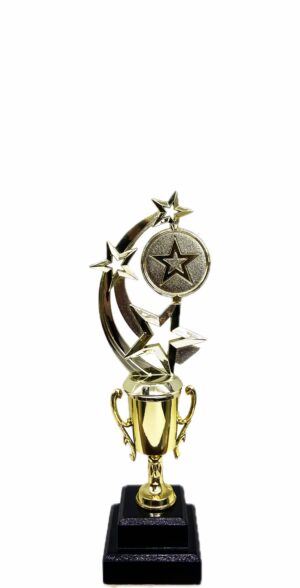 Astro Star Trophy 305mm