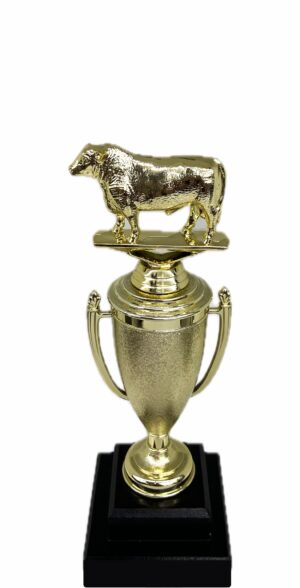 Hereford Steer Trophy 240mm